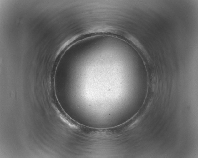 X0000081590834200701291317