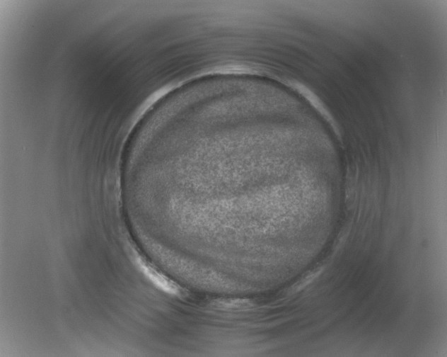 X0000081590837200701291317