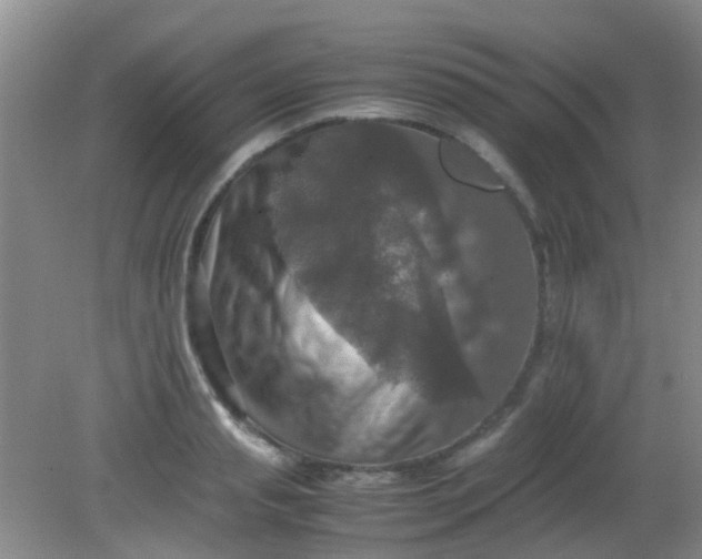 X0000081590845200701291317