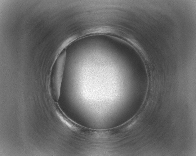 X0000081590850200701291317
