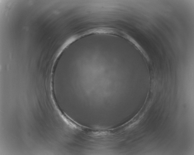 X0000081590853200701291317