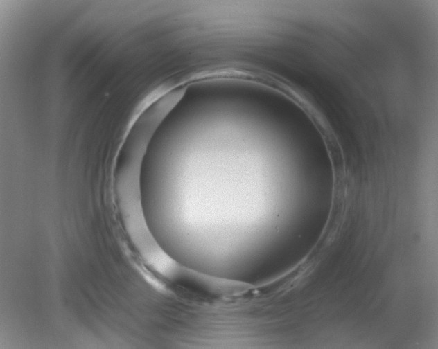 X0000081590858200701291317