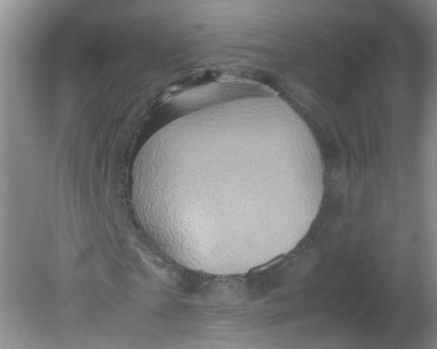 X0000081590865200701291317