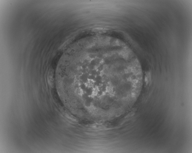 X0000081590867200701291317