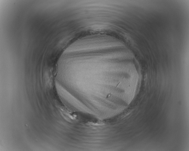 X0000081590868200701291317