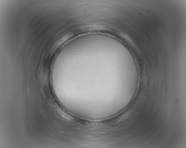 X0000081590873200701291317
