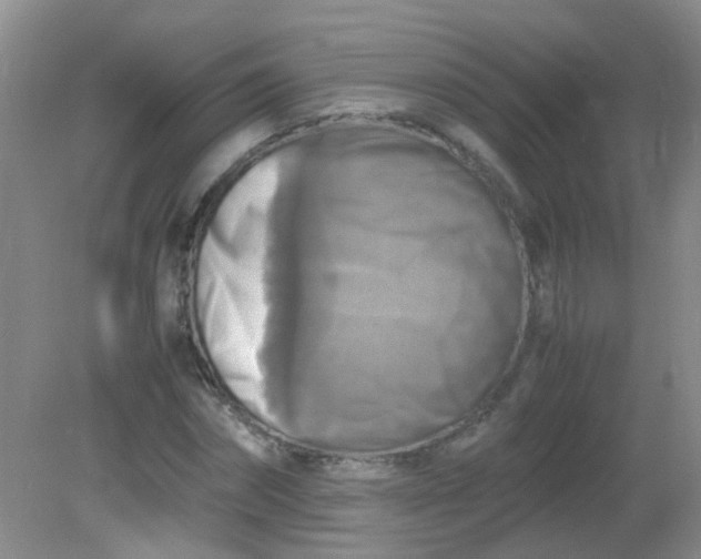 X0000081590874200701291316