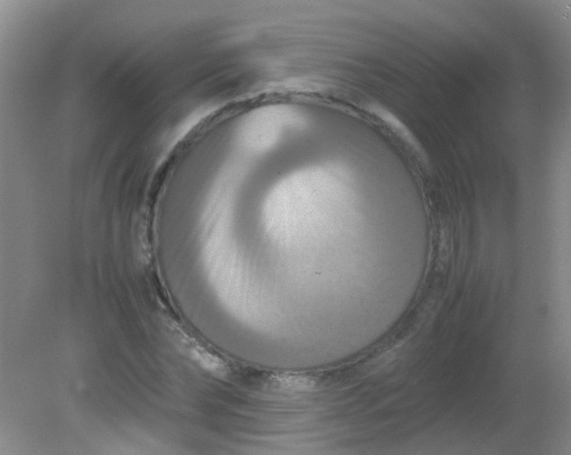 X0000081590878200701291316