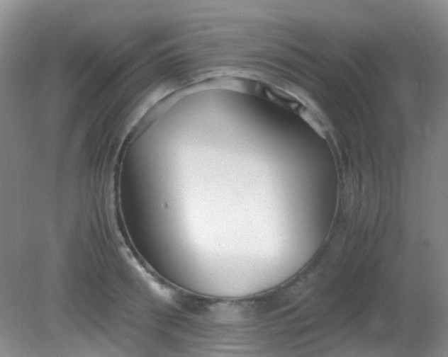 X0000081590898200701291316