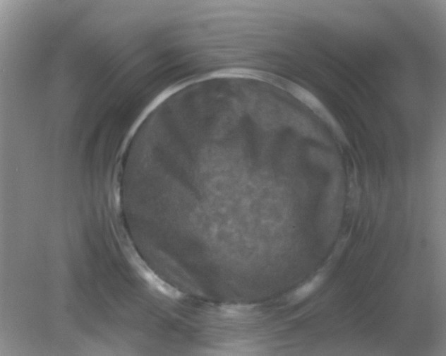 X0000081590908200701291316