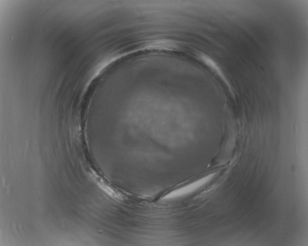 X0000081590923200701291315