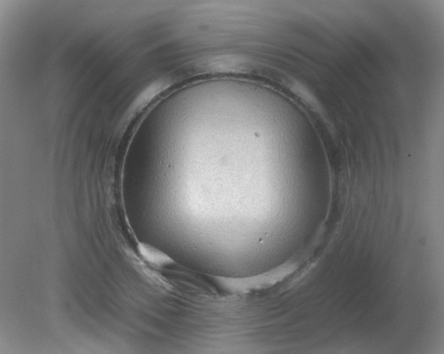 X0000081590930200701291315