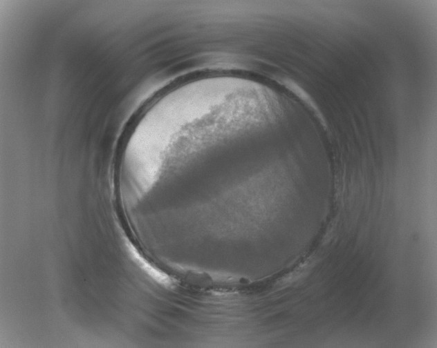 X0000081590935200701291315