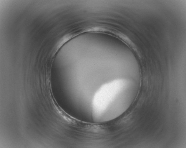X0000081590945200701291316