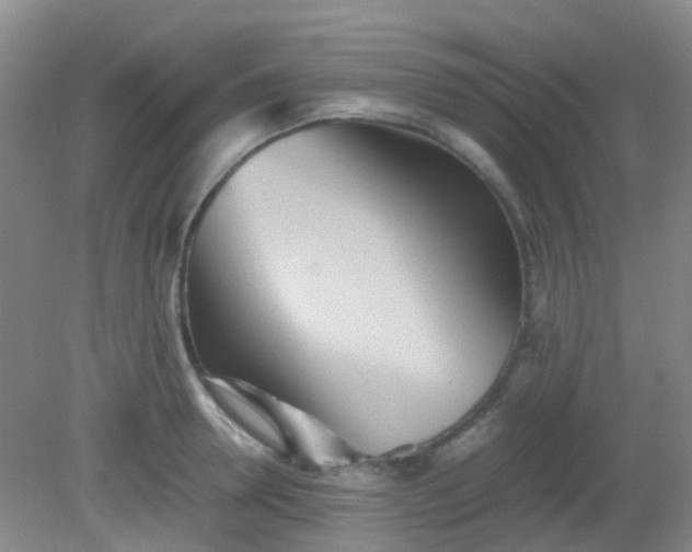 X0000081590946200701291316