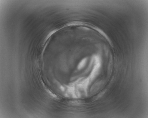 X0000081590953200701291316
