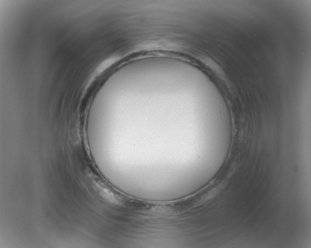 X0000081590974200701291315