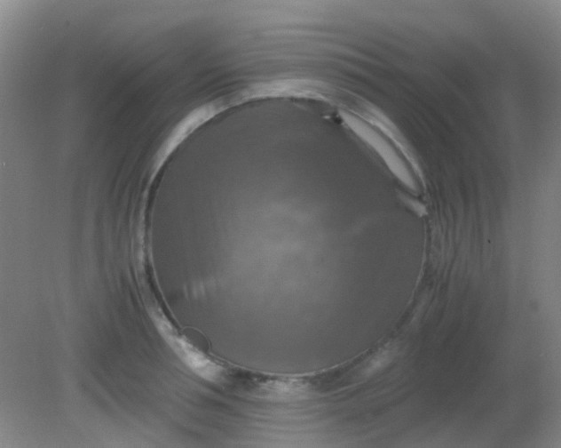 X0000081590994200701291314