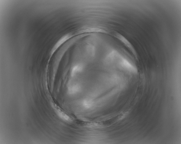 X0000081591002200701291314