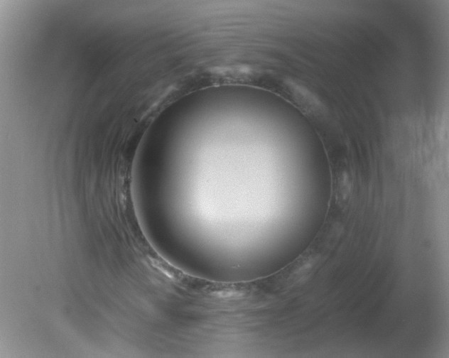 X0000081591010200701291313