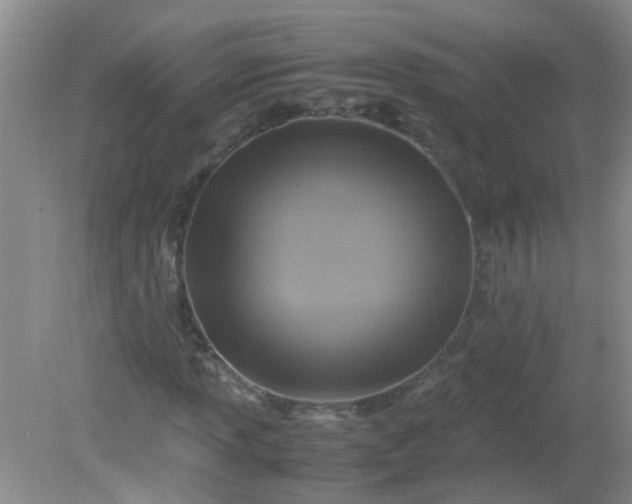 X0000081591013200701291313