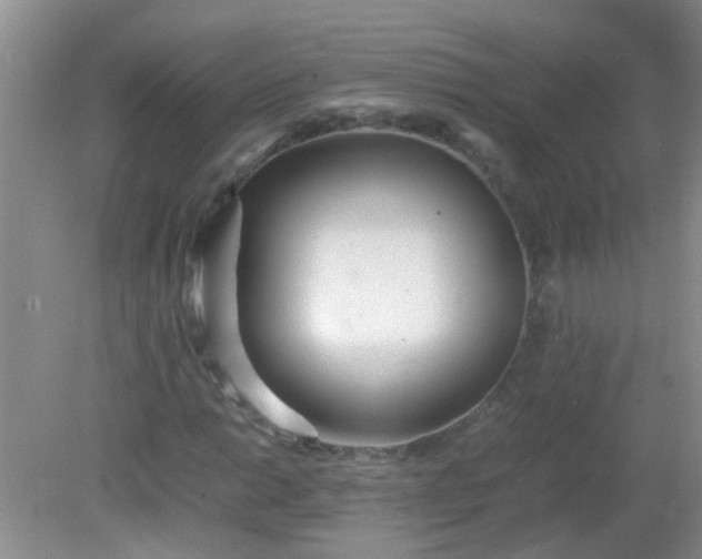 X0000081591014200701291314