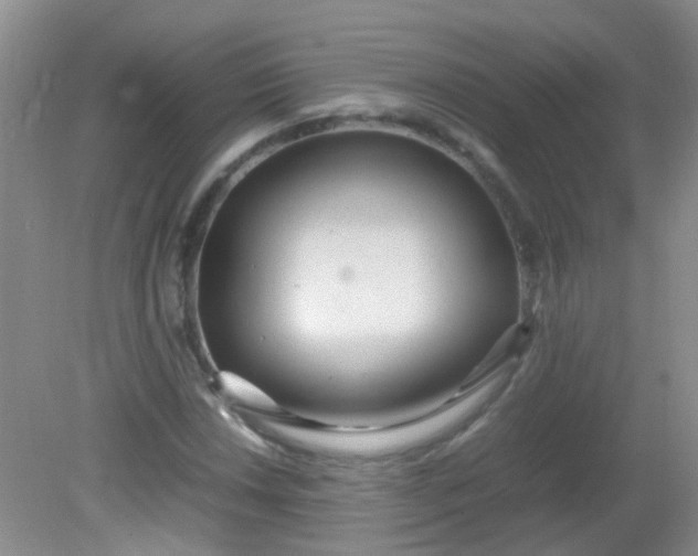 X0000081591018200701291314