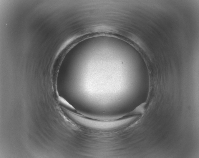 X0000081591022200701291314