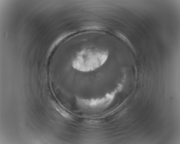 X0000081591027200701291314