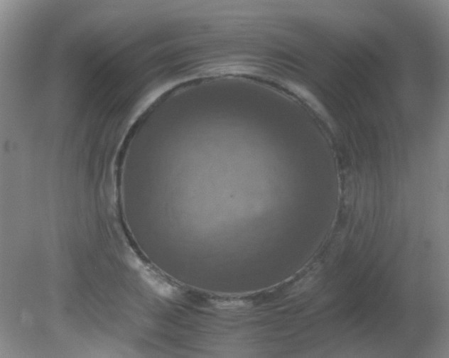 X0000081591031200701291314