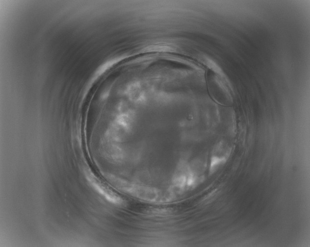 X0000081591035200701291314