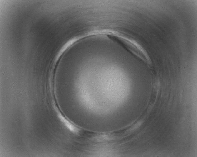 X0000081591054200701291314
