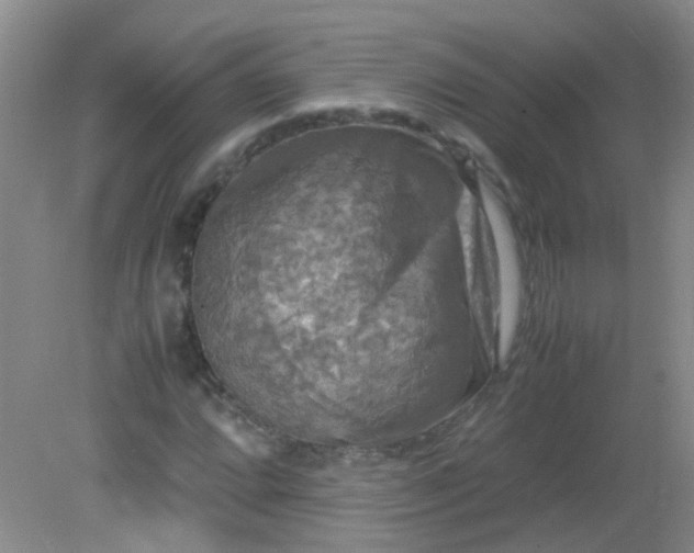 X0000081591064200701291313