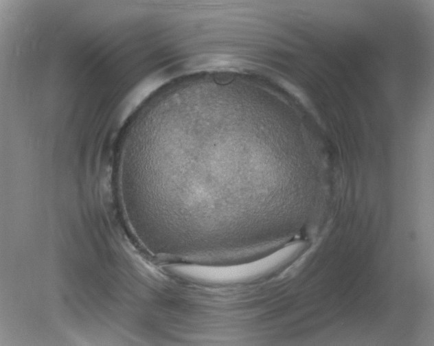 X0000081591066200701291313