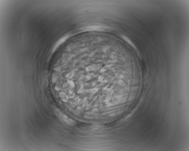 X0000081591067200701291313