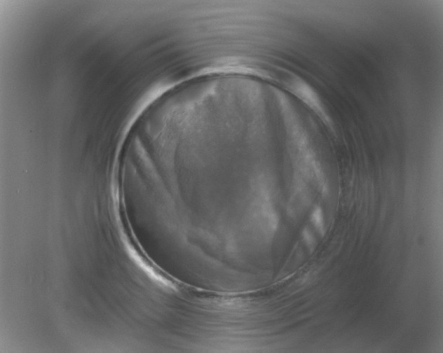 X0000081591084200701291313