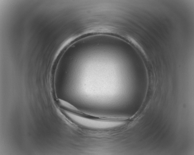 X0000081591085200701291313