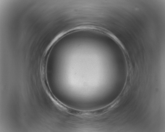 X0000081591101200701291313