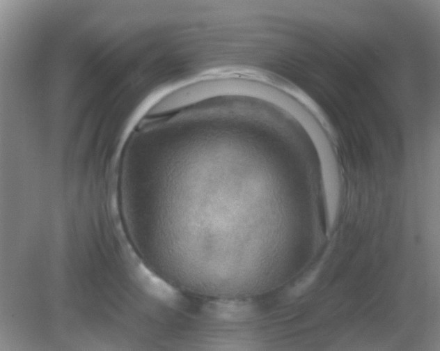 X0000081591102200701291313