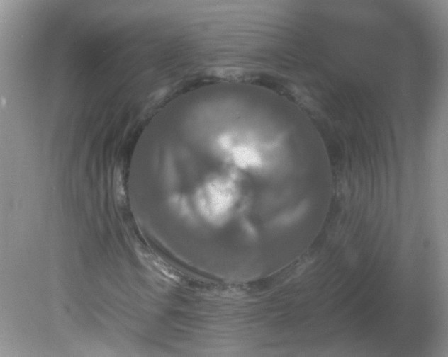 X0000081591106200701291312