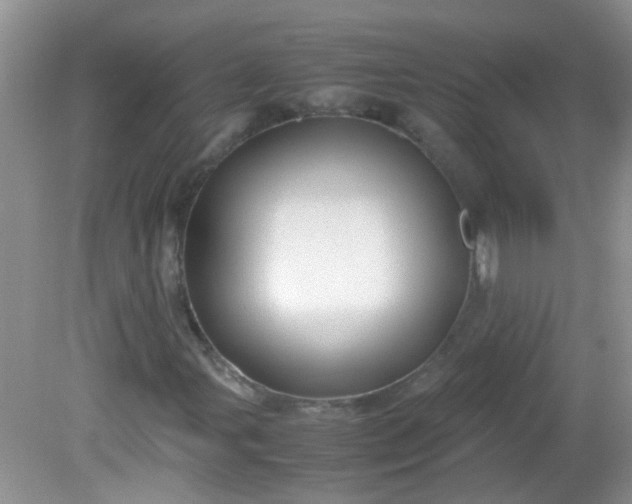 X0000081591107200701291312