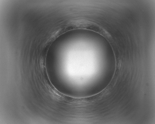X0000081591108200701291312