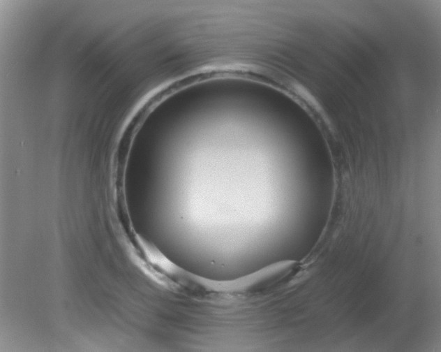 X0000081591124200701291312