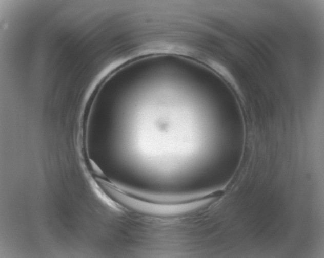 X0000081591136200701291312