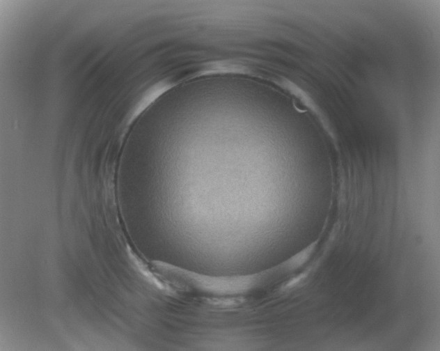 X0000081591137200701291312