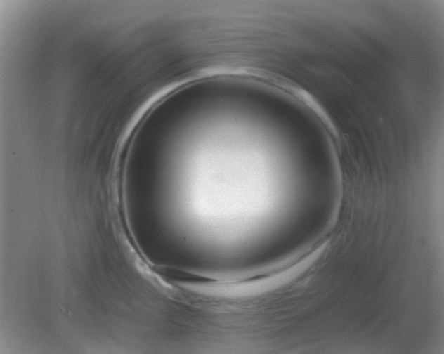 X0000081591148200701291313