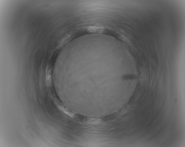 X0000081591154200701291312