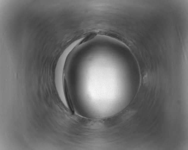 X0000081591156200701291312