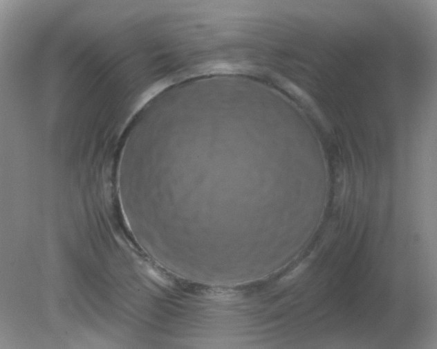X0000081591170200701291311
