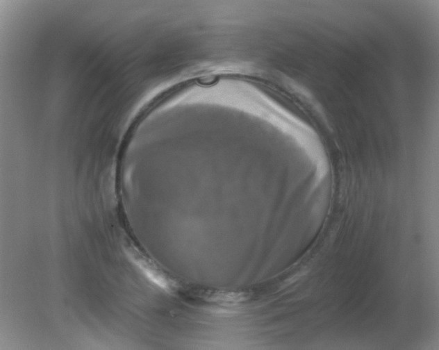 X0000081591174200701291311